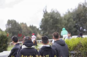 Galoppo_Chilivani_2017_ (55)